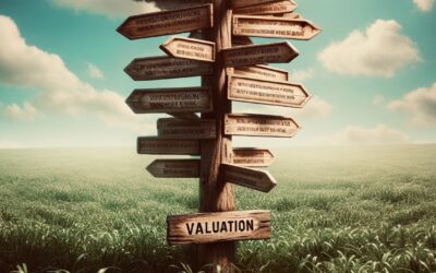 Business Valuation Approaches and the International Valuation Standards